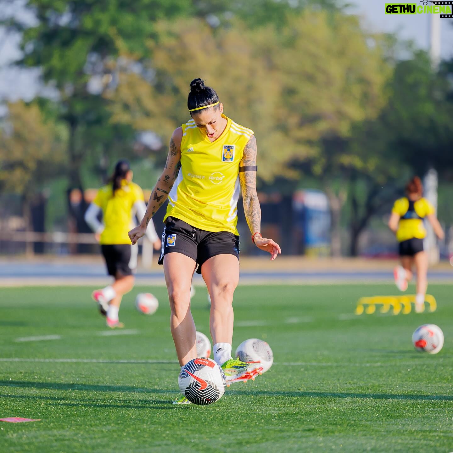 Jennifer Hermoso - 3 Likes - .
Mes de Mayo = 🙃
Tigres = 🙃
