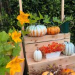 Jennifer Love Hewitt Instagram - Update on my pumpkin patch. Starting to see some small little ones and feeling hopeful. It’s been so fun. Hope I get something to show you. 🍂🎃🤞🏻