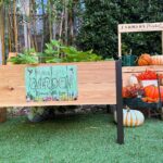 Jennifer Love Hewitt Instagram - I decided a couple of months ago to take my love of pumpkins to the next level. So I am growing some. Or trying. Thanks to Etsy and target I was able to make it all look cute and fall fabulous. My kids are helping me and the doing it together is my favorite part. Keep ya posted. Ps the 100 degree weather isn’t adding the vibes I hoped for lol🎃🧡