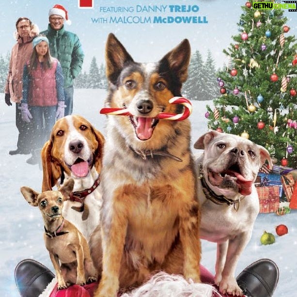 Jennifer Love Hewitt Instagram - It was such an honor to be apart of this movie. My kids are so proud of me. Please check it out! They bark, they bite, they booby trap. 🐶 Burglars beware! Watch my new movie #PupsAlone on Digital & DVD paramnt.us/PupsAlone