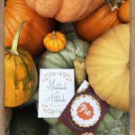 Jennifer Love Hewitt Instagram - Hey everybody our new cards are here and available! Gratitude and Pie does the trick everytime! Go to @2021_co and see the Thanksgiving cards from me The Holiday Junkie and @2021_co 🧡