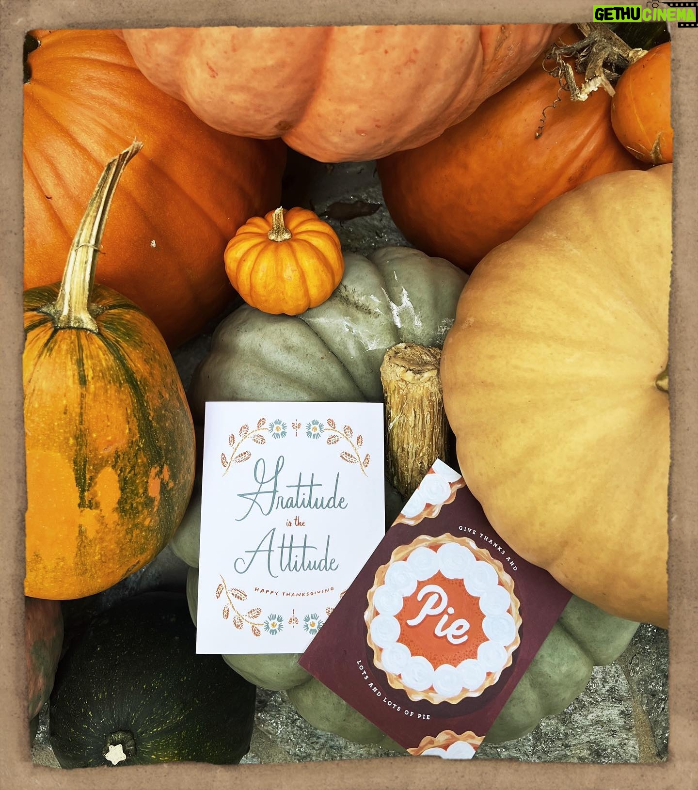 Jennifer Love Hewitt Instagram - Hey everybody our new cards are here and available! Gratitude and Pie does the trick everytime! Go to @2021_co and see the Thanksgiving cards from me The Holiday Junkie and @2021_co 🧡