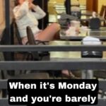Jennifer Messina Instagram - #mememonday #mememessina #messinamafia #mondaymood #mondaze