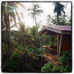 Jenny Boyd Instagram - Up in the trees 🌴🌳🌿