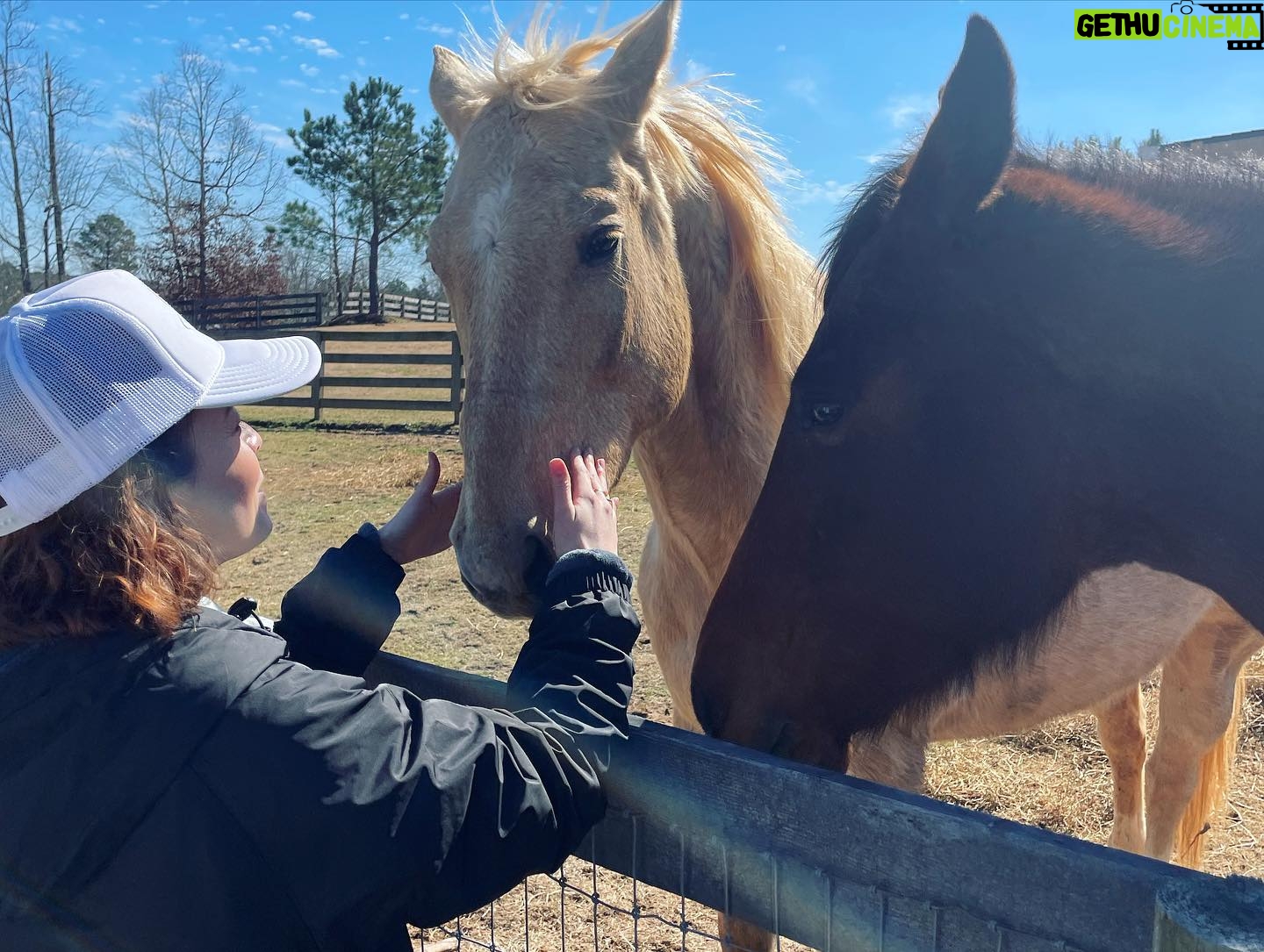 Jenny Boyd - 129.3K Likes - No acting necessary, we do in fact, Love horses.
Endless shenanigans with this group of dudes 💕