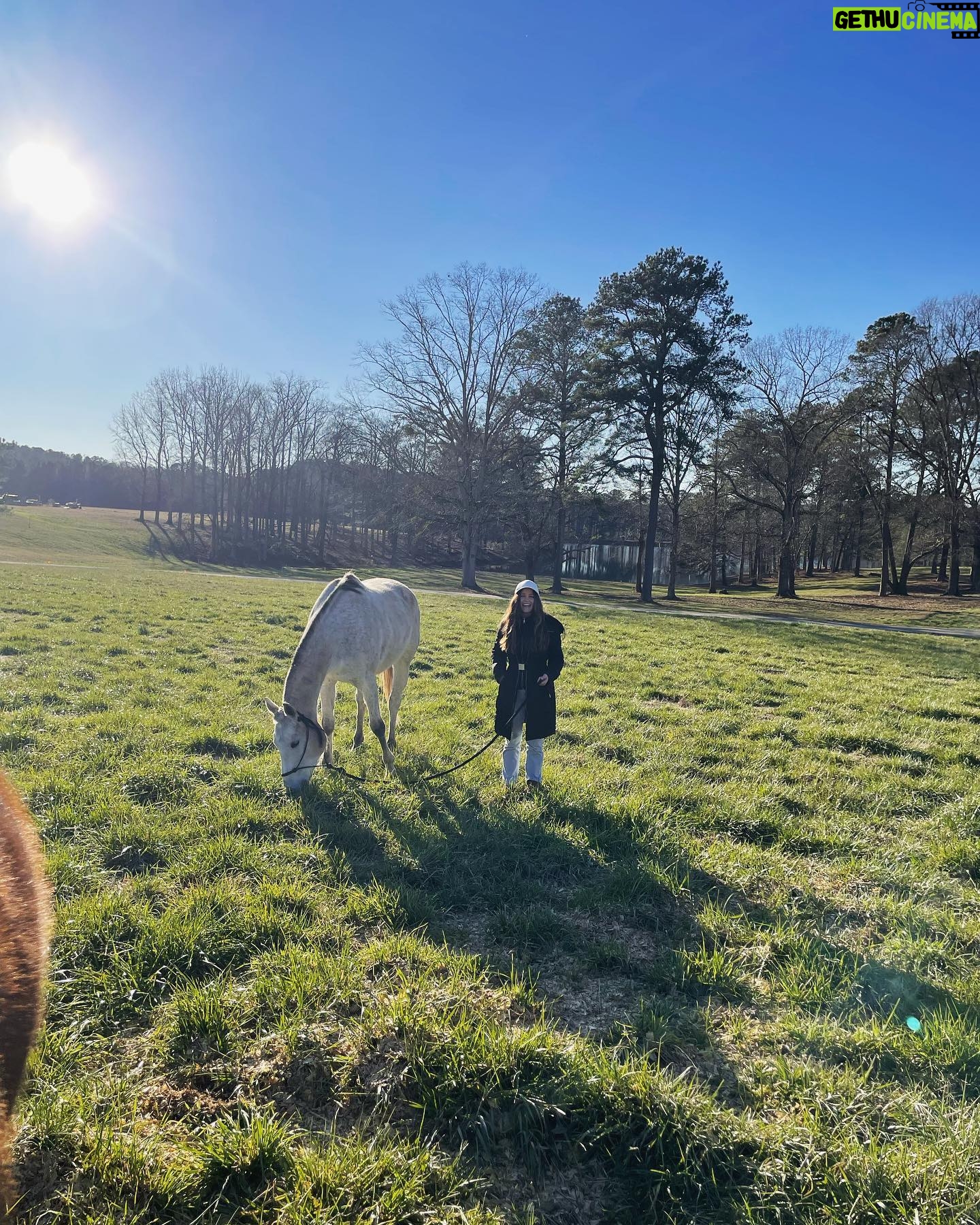 Jenny Boyd - 64.8K Likes - Springtime in the A