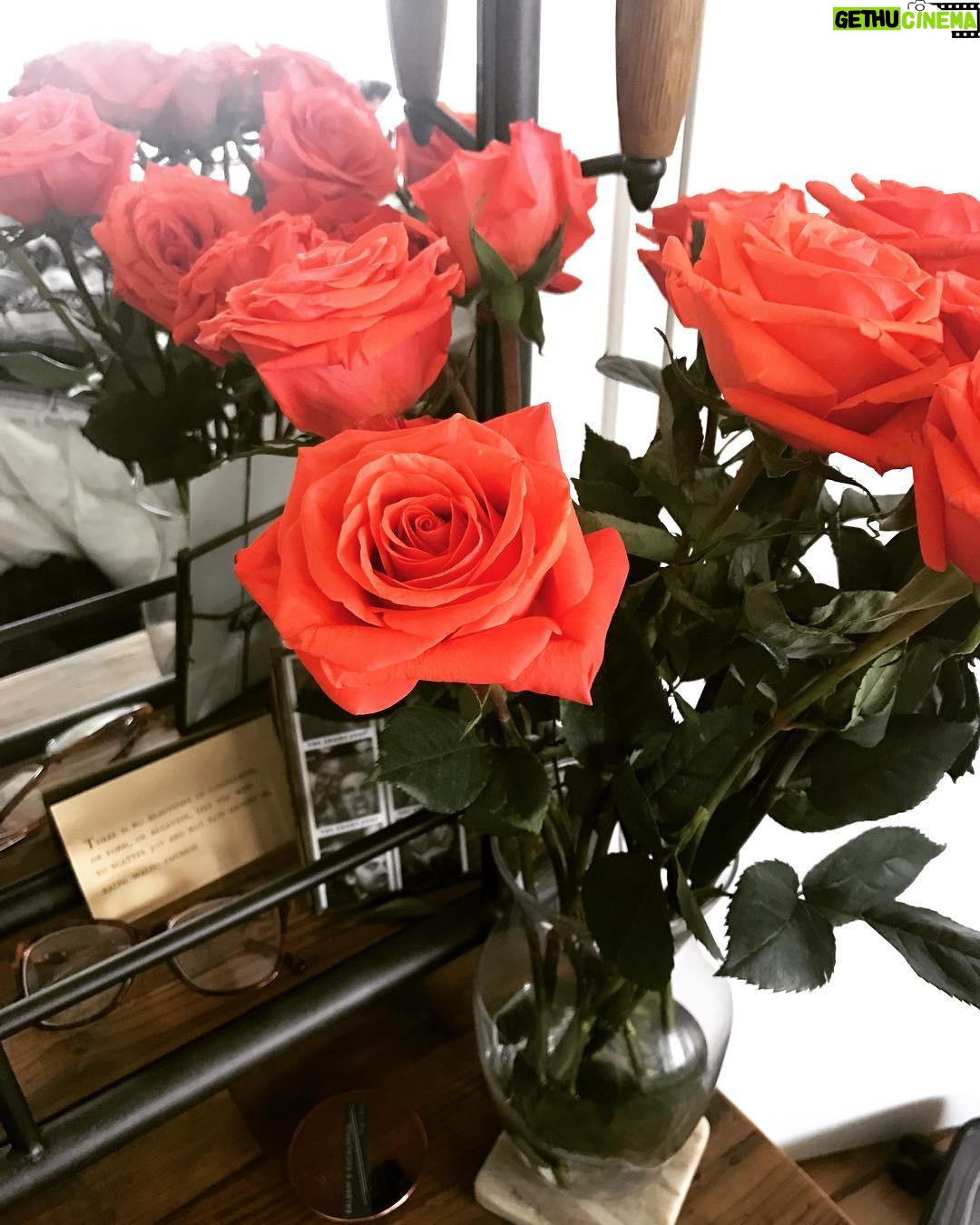 Jenny Boyd Instagram - My beautiful friend Megan gave me a beautiful bunch of roses on account of her beautiful soul. Love you ❤️