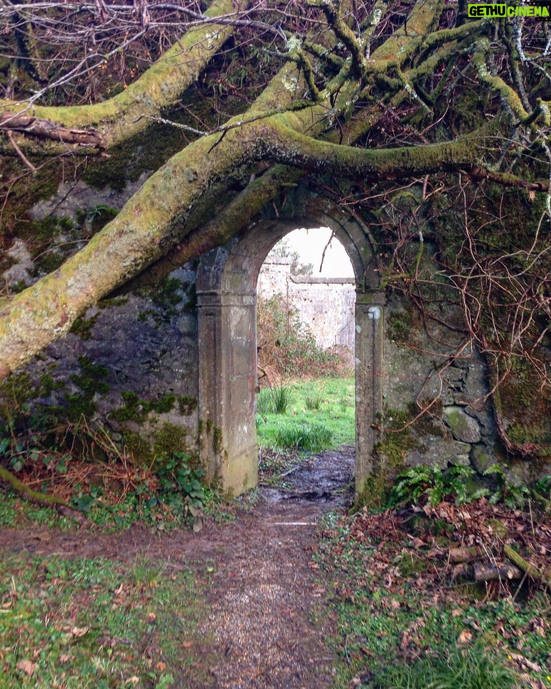 Jenny Boyd Instagram - The original homeland #Scotland #Gartmore