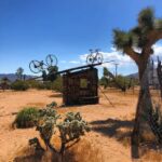 Jenny Boyd Instagram – 🌵