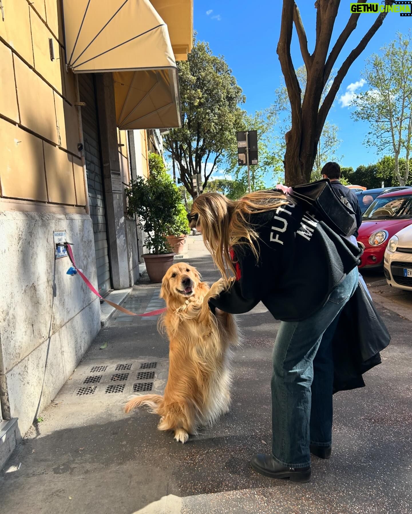 Jenny De Nucci - 3 Likes - 🍋🍋
nella terza foto c’è un indovinello: quale sono io e qual è il golden retriever? livello: abb difficile ame