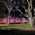 Jenny Han Instagram – The sunset was so pretty that day we had to do a whole photo shoot.