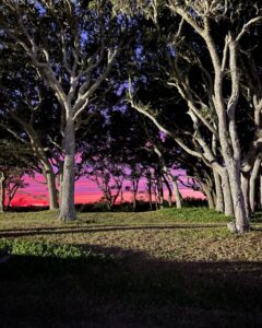 Jenny Han Instagram - The sunset was so pretty that day we had to do a whole photo shoot.