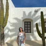 Jenny Han Instagram - Once more around the sun! Thank you for all the bday love today 🥰