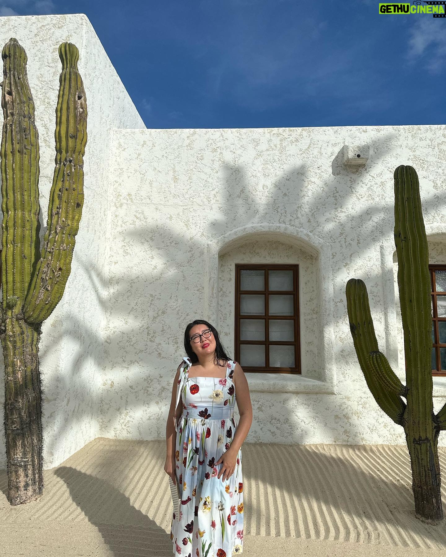 Jenny Han Instagram - Once more around the sun! Thank you for all the bday love today 🥰