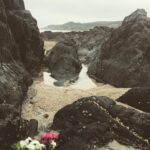 Jenny Walser Instagram - Gert lush 🌊