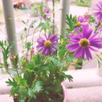 Jeon Mi-do Instagram – 오래오래 보자. 제발~~ #근데 나 니 이름도 몰라