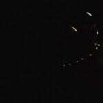 Jeon Mi-do Instagram - . . . 누구보다 아름다운 두달을 살아냈을.. 반딧불이. 아름답게 산다는건 어떤걸까.