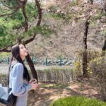 Jeong Sin-hye Instagram - 浩然之氣 , 꽃놀이 마실🌸