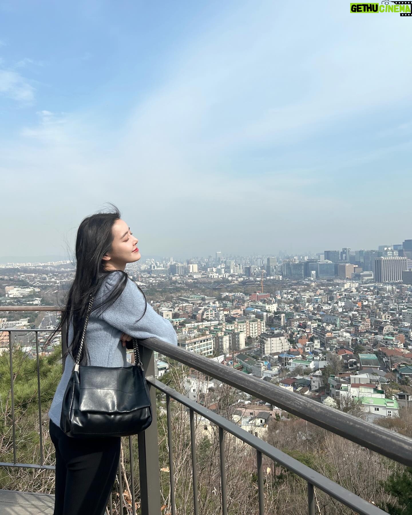 Jeong Sin-hye - 31.3K Likes - 浩然之氣 , 꽃놀이 마실🌸