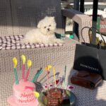 Jeong Sin-hye Instagram - 사랑하는 내 10월의 사진첩 정리💟