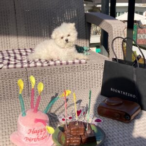 Jeong Sin-hye Instagram - 사랑하는 내 10월의 사진첩 정리💟