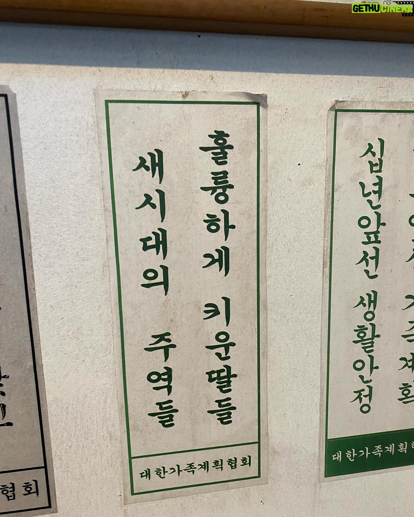 Jeong Sin-hye Instagram - 고향의 봄 잘 불러줄것 같은 선생님과 람보와 진짜 선생님과 MZ체험 유랑기🌸