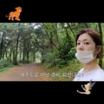 Jeong So-min Instagram - 첫 여행브이로그 예고! 두둥 탁⭐️ http://youtube.com/ssomday