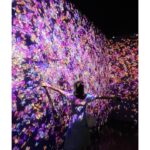 Jeong So-min Instagram - 재관람🌷 #teamlab