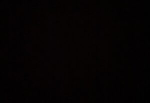 Jeremy Allen White Instagram - Will continue to listen. To learn. To support.  To donate. To love.  I stand by you.  #blackouttuesday