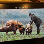 Jeremy Clarkson Instagram - Farmering