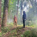Jesse Metcalfe Instagram – Miss playing make-believe in the woods with these talented people. 🎥🎭🎬🌳