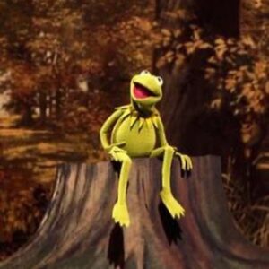 Jesse Metcalfe Instagram - “It’s not easy being green.” - Kermit the Frog