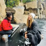 Jessica Biel Instagram - When Jessica Biel met Jessica Seal! 🤝🦭 This is my new friend, Jessica Seal. She is currently thriving at @vanaqua, where she was thankfully given another chance at life. I was lucky enough to meet her and explore the wonderful place she now gets to call home. Thank you @vanaqua for this experience and all the work you do — it’s not every day you get to meet an animal named after you!