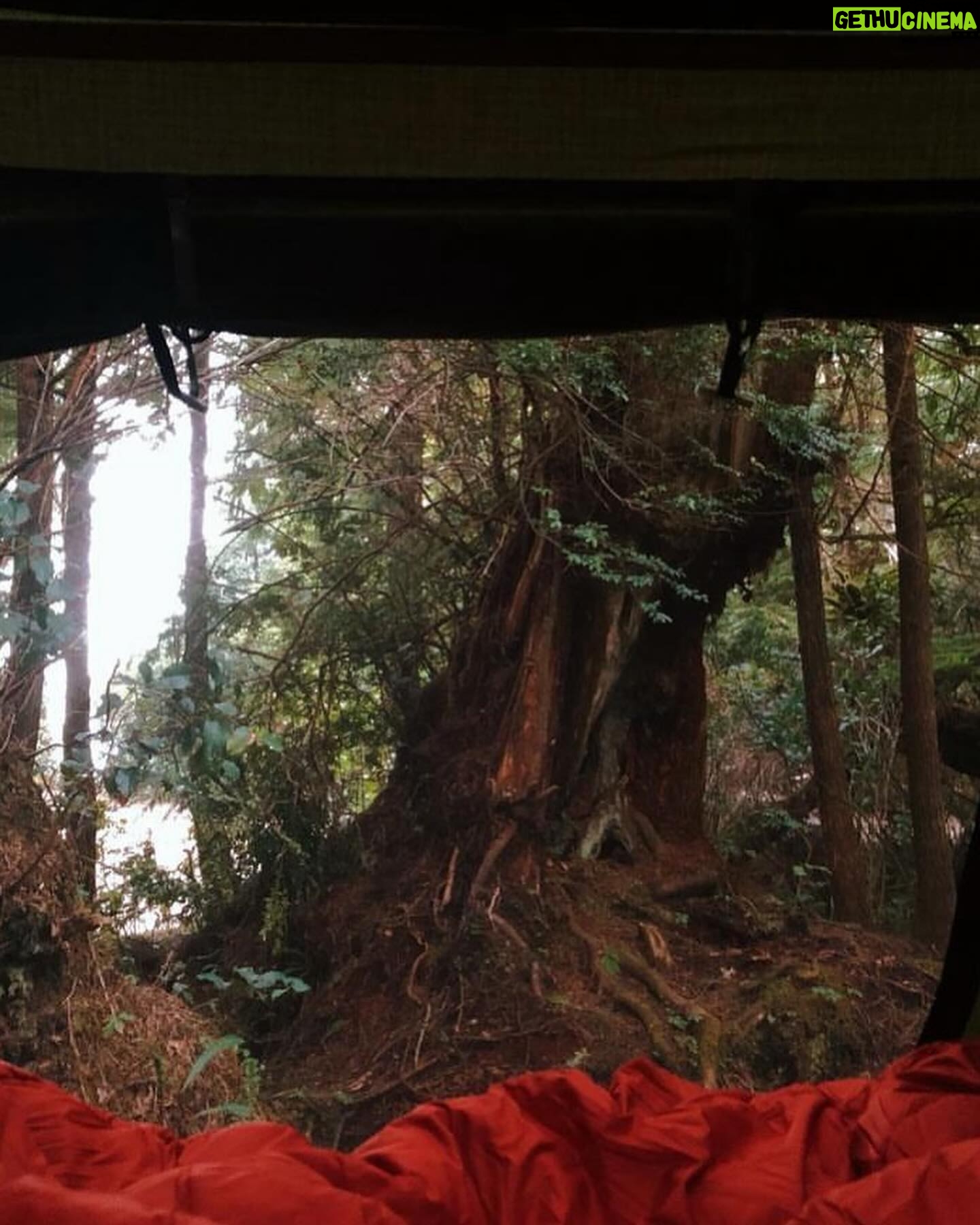 Jessica Lowndes Instagram - Enjoying todayβs office view! π€©ποΈπ½ Swipe to see some of the other locations where Iβve written my movies. Embracing the mobile office life! ππ€π»π΄πππ¦₯ποΈπΊ Been working super hard and thrilled to bring more of my scripts to life on screen very sooooon!!!