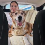 Jessica May Instagram - Seni bir gün daha bile olsa hayatta tutabilmek için her şeyi yaparım. Güçlü kızım benim. Fofo 🧡