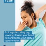 Jessica Yellin Instagram - GOT ANXIETY? TIPS TO CALM YOUR NERVOUS SYSTEM Since I live in the news and on social media I’ve been dealing with news anxiety for a long time. So I’ve learned some tricks and tools to help me calm down and recenter when I feel stress get too intense. These are all science-backed tips. Most of these tips are related to stimulating the parasympathetic nervous system, which is the part of the nervous system responsible for regulating relaxation, rest, and digestion. The parasympathetic nervous system translates sensory input into signals that tell your body to relax your muscles, slow your heart rate and breathing, and even reduce inflammation. Touching your lips, yawning, and cold exposure all stimulate the parasympathetic nervous system. As for the other tips here? Studies show making eye contact with your pet boosts your levels of oxytocin, a hormone which supports feelings of trust and love. And numerous studies have shown the benefits of being in or even just looking at nature. One found that participants performing boring tasks made fewer mistakes when they looked at nature during a 40-second break (compared to participants who looked at a concrete rooftop instead). What tricks do you use to calm down when the news gets overwhelming? Tell us in the comments.