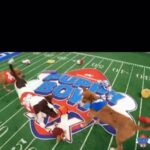 Jessica Yellin Instagram - HIGHLIGHTS FROM THE PUPPY BOWL The Puppy Bowl, America’s cutest alternative TV programming on Super Bowl Sunday, celebrated its twentieth anniversary in style. For those who don’t know, the Puppy Bowl is a simple, yet endlessly entertaining, game to follow: dozens of rescue puppies from around the country play on a mini-football field (carpet), winning points any time a puppy carries a chew toy into either end zone. This year organizers promised the “most puppiest Puppy Bowl ever” and they delivered. After a nail-biting competition, Team Ruff beat out Team Fluff 72-69 in a last minute victory. MVP Moosh scored Team Ruff numerous goals, while official underdog Harvey napped the game away. And the all-kitten halftime show featured star Purr-sher. (See what they did there?) Here are some of the highlights from Puppy Bowl XX.