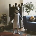 Jessie Mei Li Instagram - it’s neurodiversity week everyone ♾🌈 here’s lil me having a great time in a badger mask listening to run dmc. I was diagnosed with ADHD at 24, which answered many life long questions, and I feel like I’m finally understanding myself.  to all you wonderful neurodivergent people out there, keep being you. The neurotypical world can be an overwhelming, difficult and frightening place sometimes for many people, so I hope you take some time to yourself this week and do something you love. There are some wonderful things that come with being nd - what do you love about yourself?  Many people I know are self diagnosed and that is completely valid. Conditions like ADHD and ASC have historically been more widely diagnosed in cis-males, with many other people being overlooked because they don’t fit within the stereotypical parameters, or misdiagnosed with other conditions. But more and more this is changing as people begin to have a better understanding.  I want to celebrate the neurodivergent people in my life -  the autistic people that I love: my partner and my dad and my autistic pals, my fellow ADHD gang - (proud to be one of you) all those with bipolar; OCD; dyslexia; dyspraxia; dyscalculia; and any other forms of neurodivergence.  You are not damaged, broken, sick, pitiable or weird (although being weird is definitely a good thing in my opinion) You’re you, and that’s very cool of you.  Even if you’re not neurodivergent you are cool and unique and being yourself is always the best. Maybe this week you can do a lil research and find out something new to support the ND people in your life, or raise awareness in your school or workplace - how can we make spaces more accessible to everyone?  “Humanity is diverse, and neurodivergence is just a natural and valuable part of that. No human being falls outside of the neurodiversity spectrum” ~ I don’t know who said this.  Anyway, Big love xxx
