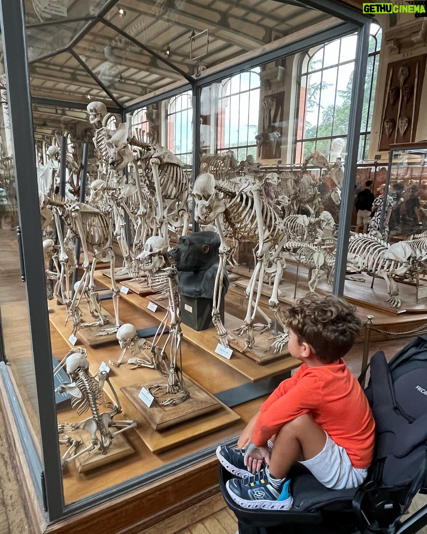 Jesta Hillmann Instagram - Juliann in Paris 🥖 Pour la première fois tatie a prit Juliann pour passer 4 jours chez elle à Paris. Voici le planning pour ceux qui m’ont demandés: - jeux pour enfants La Canopée ( Paris Châtelet Les Halles ) gratuit - Muséum d’histoire Naturelle Paris Jardin des Plantes Le bon plan c’est la galerie de paléontologie gratuite pour les enfants - Jardin D’acclimatation Paris - Fête forraine des Tuileries - Exposition Monsieur Madame Montreuil - Parc zoologique de Vincennes - Cité des sciences / la Villette Paris 19