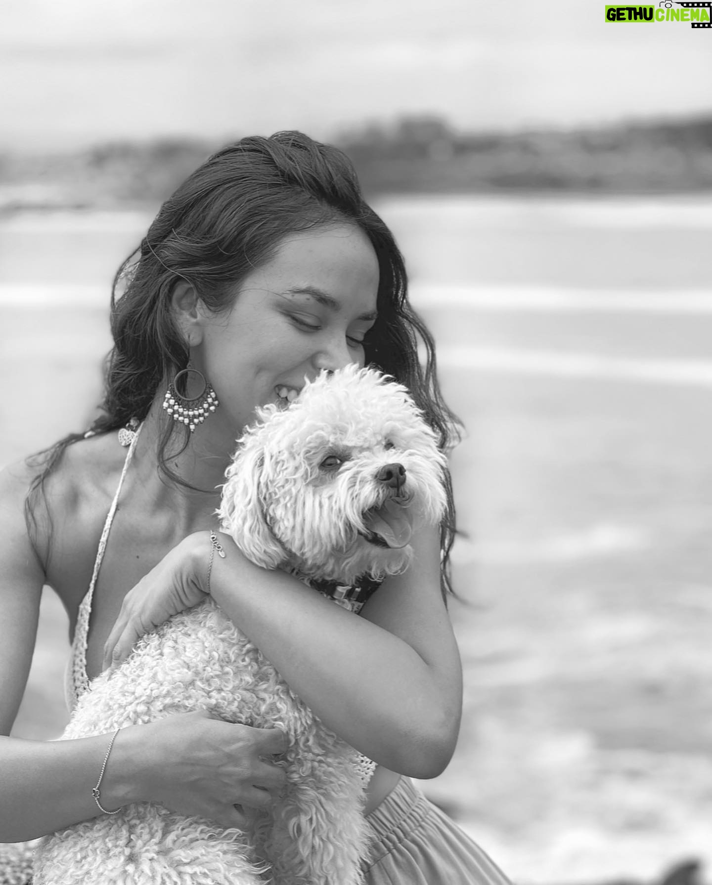 Jhendelyn Nuñez Instagram - Como pasa el tiempo. 7 años juntitos y sin duda alguna la mejor compañía. Siento que solo les falta hablar. Con sus miradas dicen todo… Cuénteme, cuántos de acá tienen 🐶 o 🐱, cómo se llaman ? Los leo 🫶