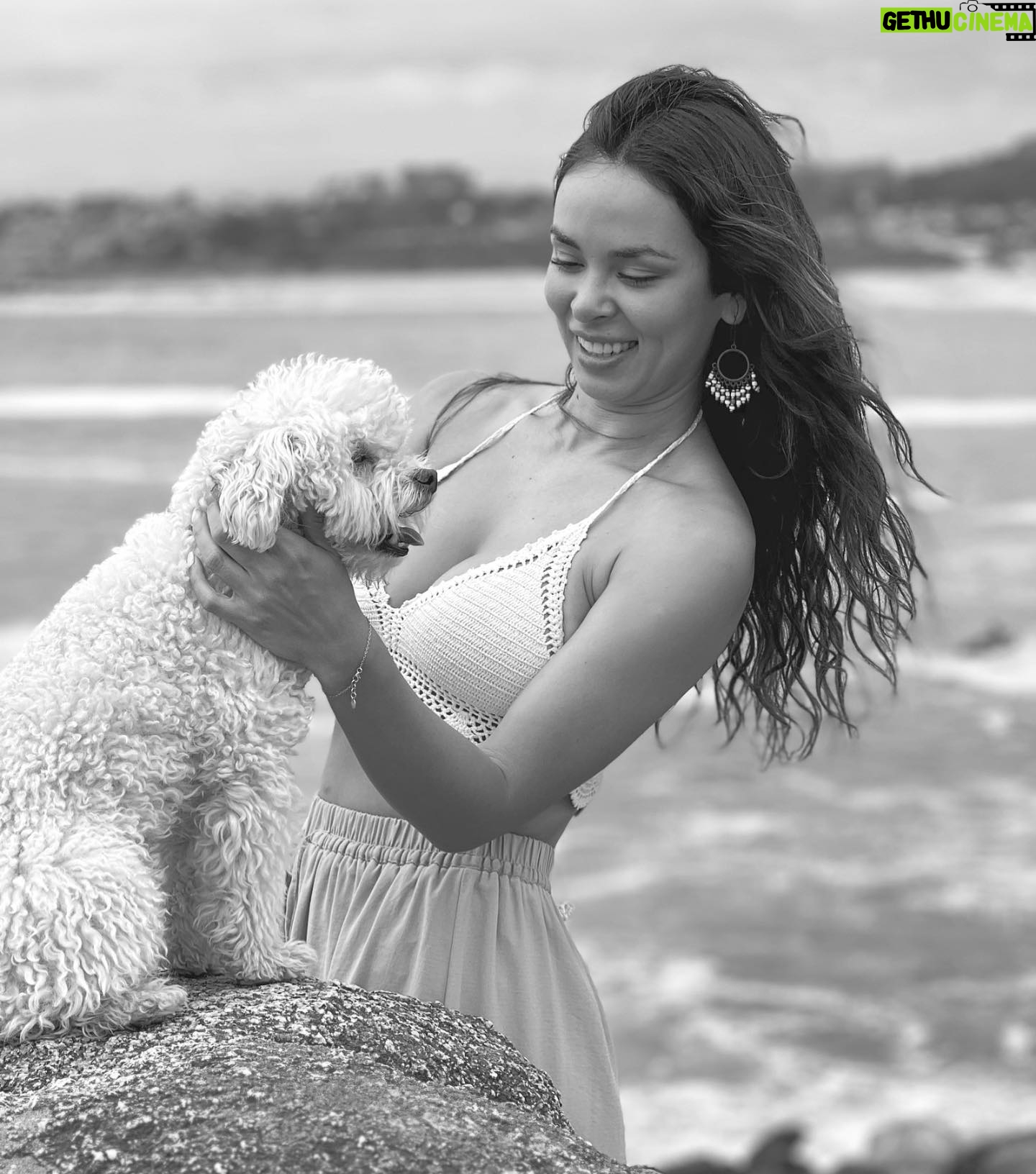 Jhendelyn Nuñez Instagram - Como pasa el tiempo. 7 años juntitos y sin duda alguna la mejor compañía. Siento que solo les falta hablar. Con sus miradas dicen todo… Cuénteme, cuántos de acá tienen 🐶 o 🐱, cómo se llaman ? Los leo 🫶