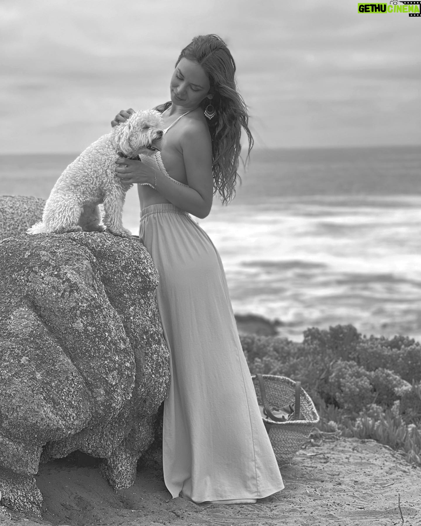 Jhendelyn Nuñez Instagram - Como pasa el tiempo. 7 años juntitos y sin duda alguna la mejor compañía. Siento que solo les falta hablar. Con sus miradas dicen todo… Cuénteme, cuántos de acá tienen 🐶 o 🐱, cómo se llaman ? Los leo 🫶