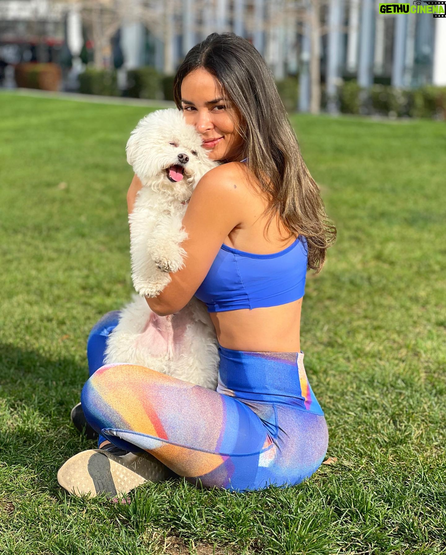 Jhendelyn Nuñez Instagram - Cositas que me hacen bien 🤩🙌🏻❤️ #cerrito y mi #peludo 🥰