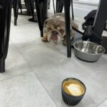 Jill Scott Instagram - A weekend in SUNderland! 🐶 ☕️ ❤️ Ps All drinks shown are alcohol free!
