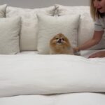 Jill Zarin Instagram - #howto make your bed look like you’re at a hotel 🛌 Bedding: @serenaandlily #bedroom #bedroomdesign #interiordesign #homedecor #homedecoration #homedesignideas #bedroominspo