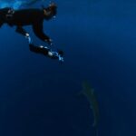 Jillian Michaels Instagram - Ok who else is obsessed with @oceanramsey Had the most incredible life changing experience diving today with her @juansharks and @oneoceandiving so much to share with you guys about this experience. Stay tuned for more pics and a donation match that goes towards saving these beautiful creatures and protecting the oceans 🦈🐢🐳🐋🐬