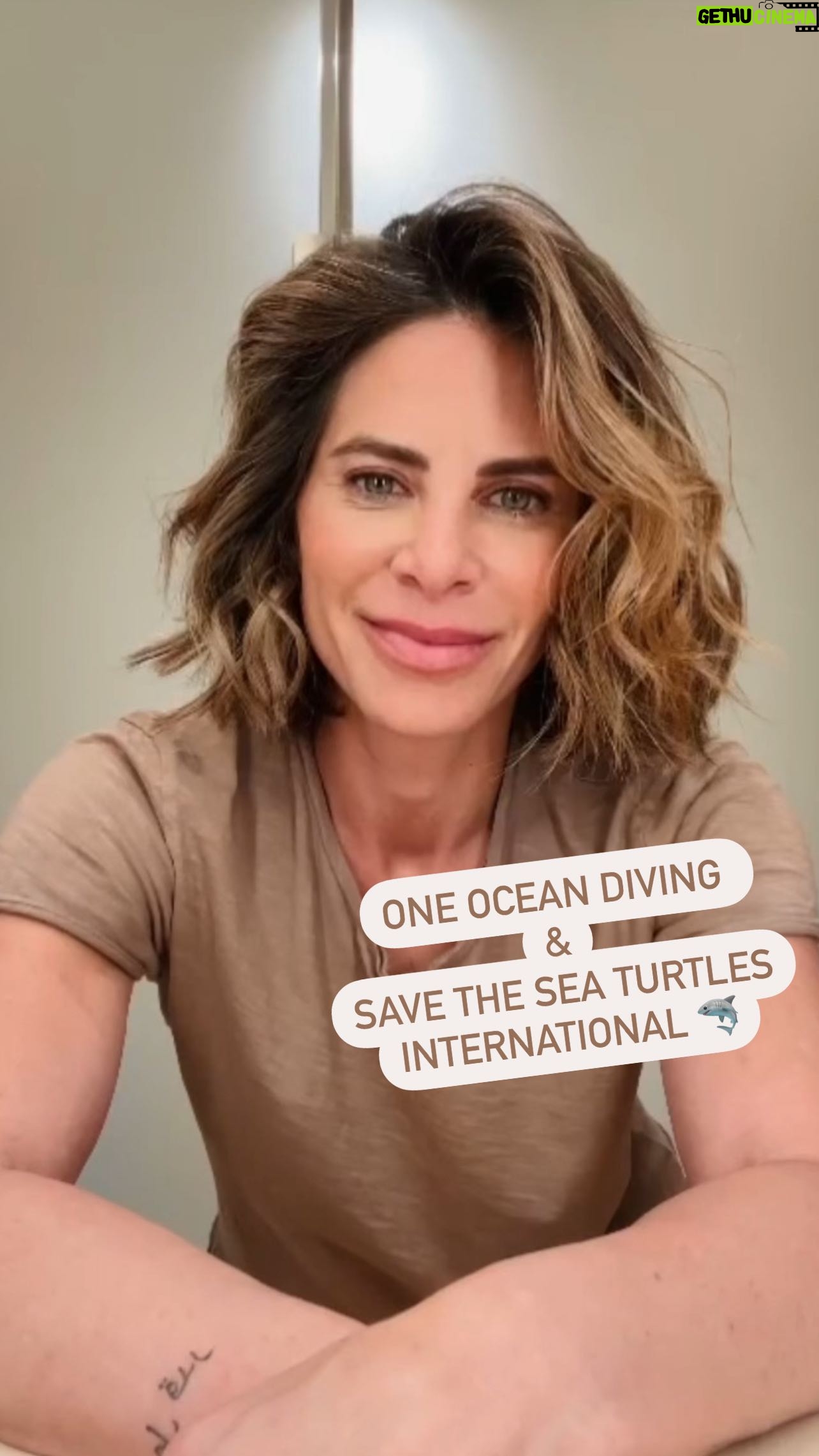 Jillian Michaels Instagram - This month I had the privilege of diving with @oceanramsey , her husband @juansharks , and their team at @oneoceandiving and it changed my life. They’re doing some incredible work at @savetheseaturtlesinternational - I implore you to check it out and if you feel so inclined, make a donation. I’ll be matching all donations made for the next 24 hrs - it’s the least I can do to give back to these beautiful creatures and the team at @oneoceandiving . #sharkdiving #savetheseaturtlesinternational