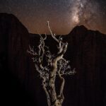 Jimmy Chin Instagram - I’ve never been one to photograph trees much, although I appreciate them deeply, especially after spending months above tree line on expeditions. When we spent a month in Taghia, I couldn’t help noticing the endlessly fascinating Moroccan Juniper trees surviving on the harshest cliff sides. So here they are: a couple of my rare photos of trees. Taghia, Atlas Mountains, Morocco. ⁣ Prints available at link in profile.