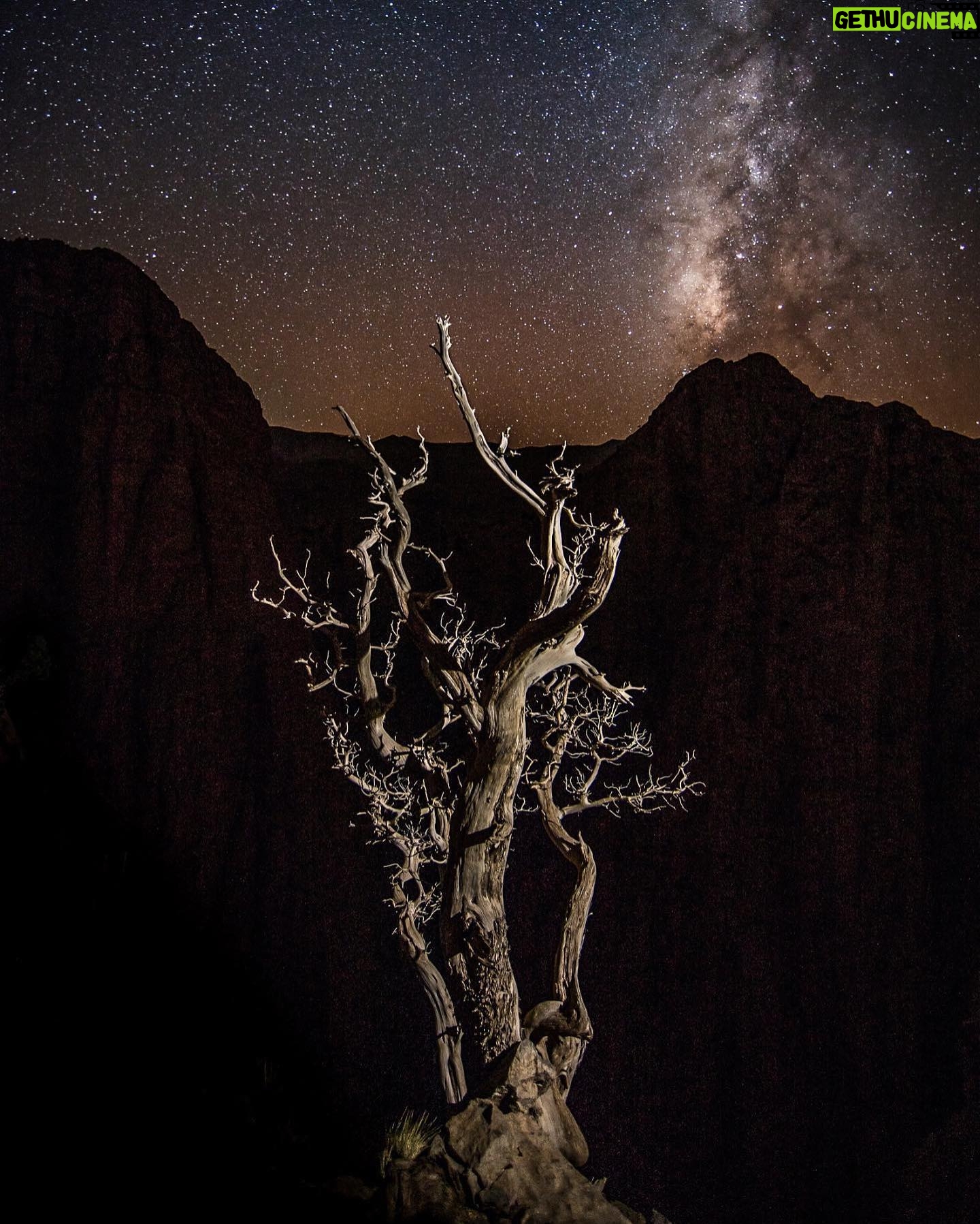 Jimmy Chin Instagram - I’ve never been one to photograph trees much, although I appreciate them deeply, especially after spending months above tree line on expeditions. When we spent a month in Taghia, I couldn’t help noticing the endlessly fascinating Moroccan Juniper trees surviving on the harshest cliff sides. So here they are: a couple of my rare photos of trees. Taghia, Atlas Mountains, Morocco. Prints available at link in profile.