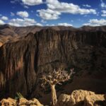 Jimmy Chin Instagram - I’ve never been one to photograph trees much, although I appreciate them deeply, especially after spending months above tree line on expeditions. When we spent a month in Taghia, I couldn’t help noticing the endlessly fascinating Moroccan Juniper trees surviving on the harshest cliff sides. So here they are: a couple of my rare photos of trees. Taghia, Atlas Mountains, Morocco. ⁣ Prints available at link in profile.